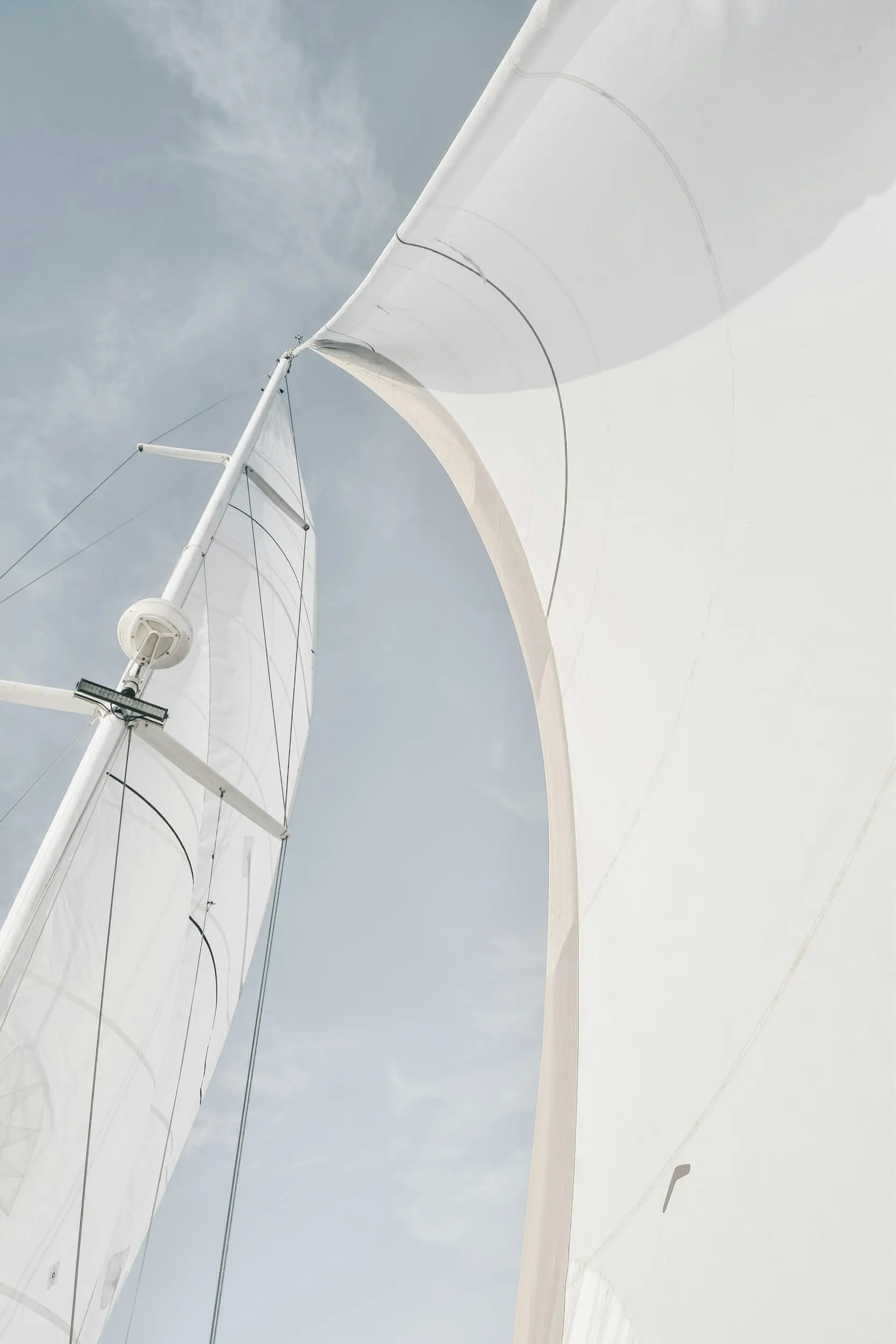 nicole-herrero-vcVFV_EsXeE-unsplash